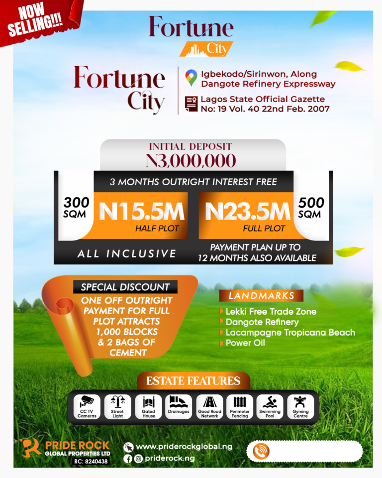 Fortune City Flyer Design 2025
